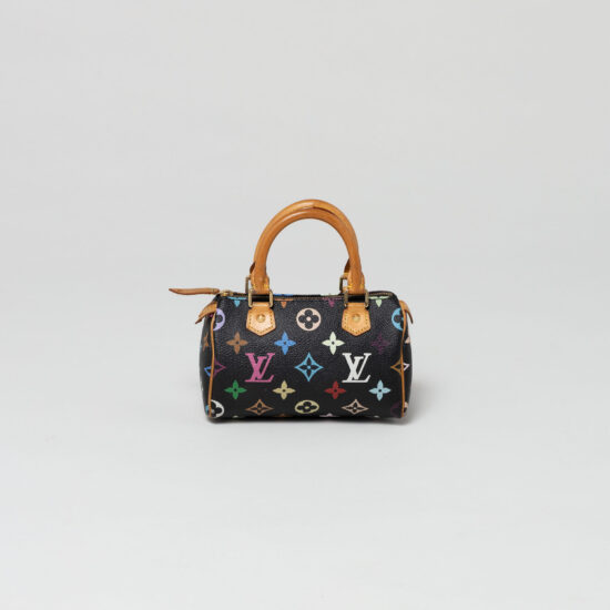 Louis Vuitton Multicolor Murakami Speedy Nano