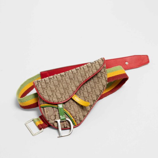 Dior Rasta Saddle Beltbag